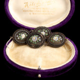 Early 19th Century Silesian Iron Painted Flower Earrings