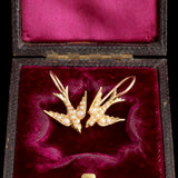 Edwardian Pearl Swallow Earrings