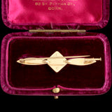 1920s Austrian Gold & Mahogany Aviation Pin