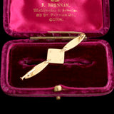 1920s Austrian Gold & Mahogany Aviation Pin