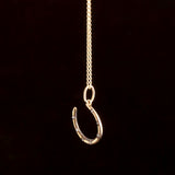 Late Victorian Rose Cut Diamond Tiny Horseshoe Necklace