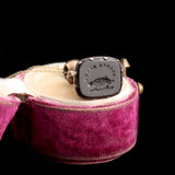 Early Victorian "Excuse Haste" Tassie Seal Necklace