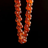Victorian Barbell Linked Tortoiseshell Collar